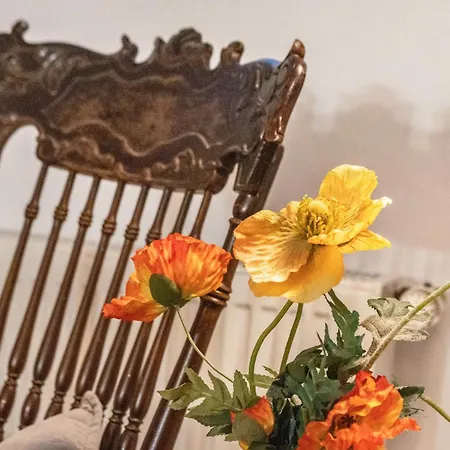 Briller Gewoelbe Appartement *