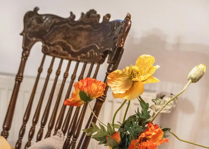 Briller Gewoelbe 公寓 *